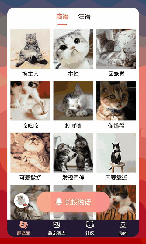 猫语翻译器