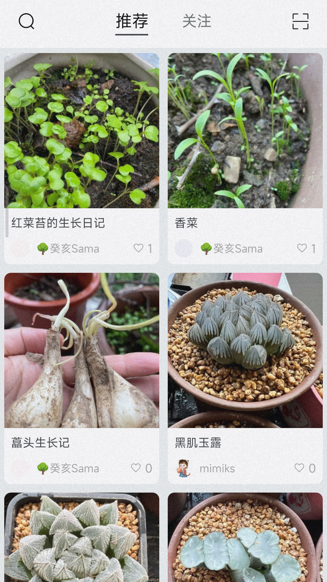 小植物